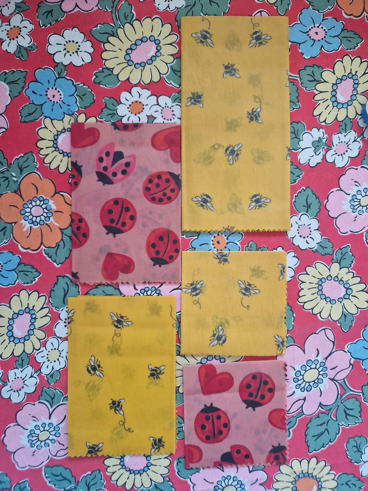 Beeswax Wraps