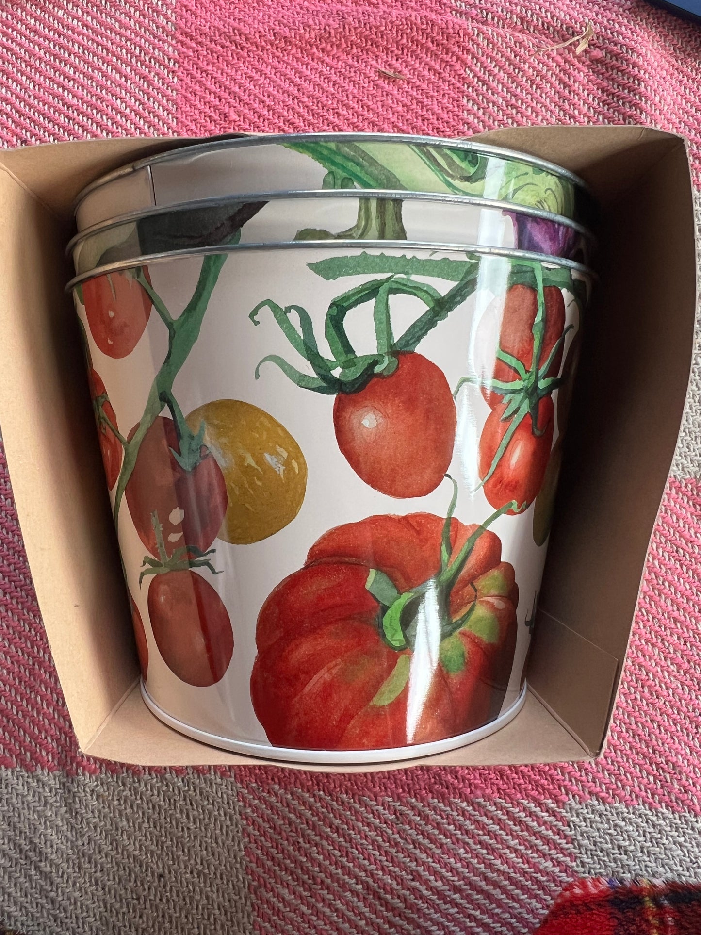 Emma Bridgewater Plant Pot Set Of 3