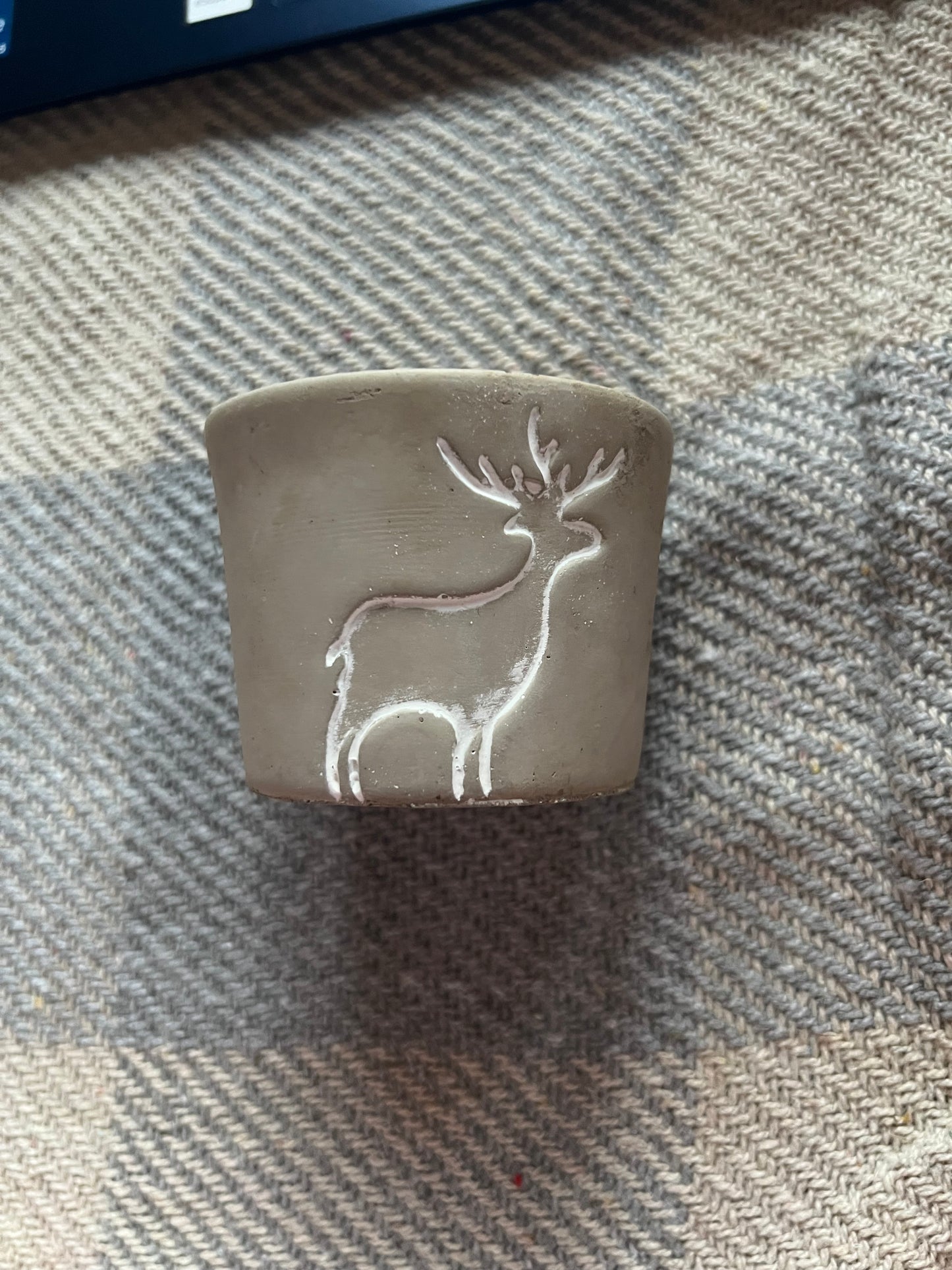 St Eval Animal Potted Candles