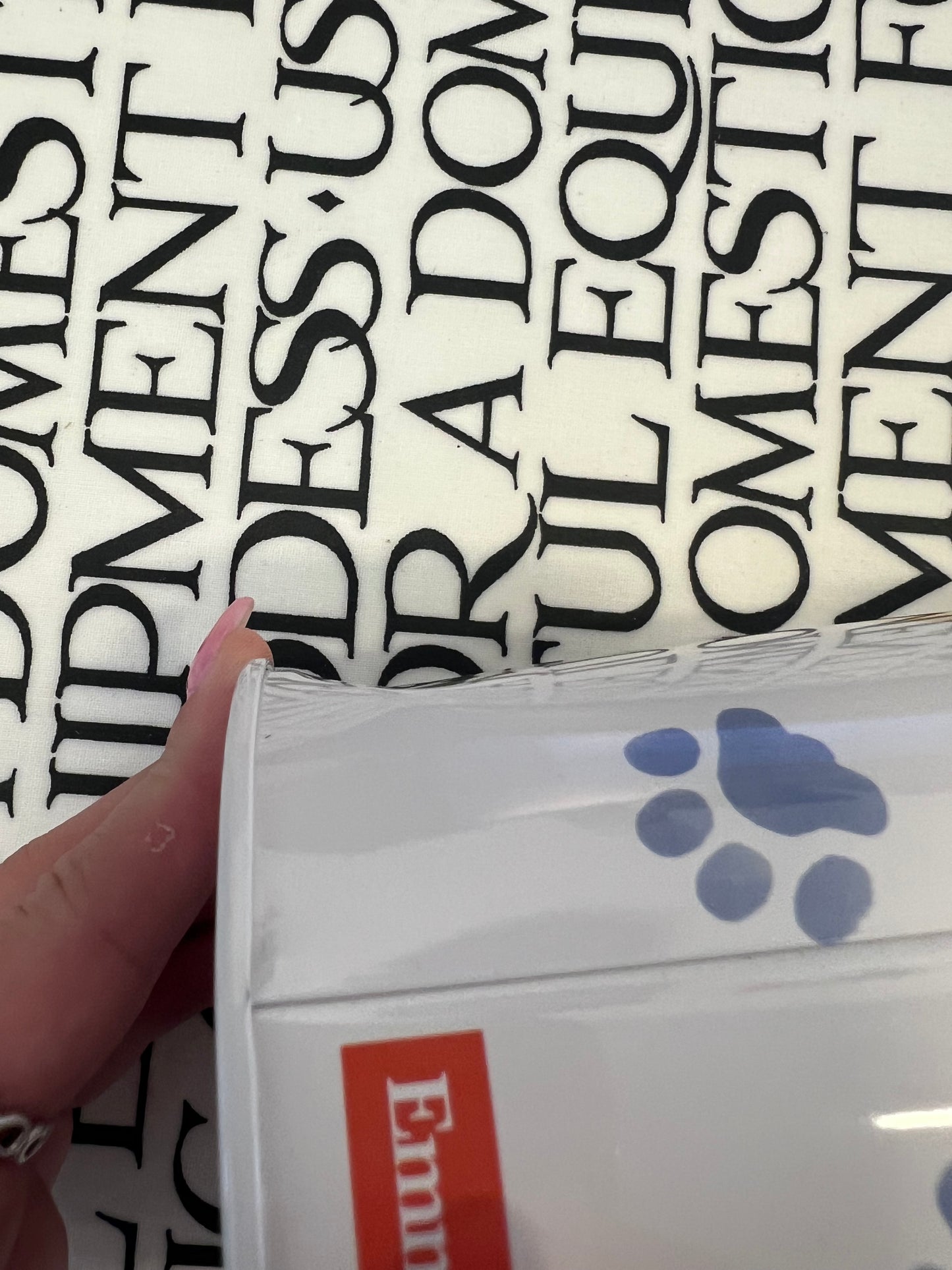 FAULTY Emma Bridgewater Paw Clip Tin