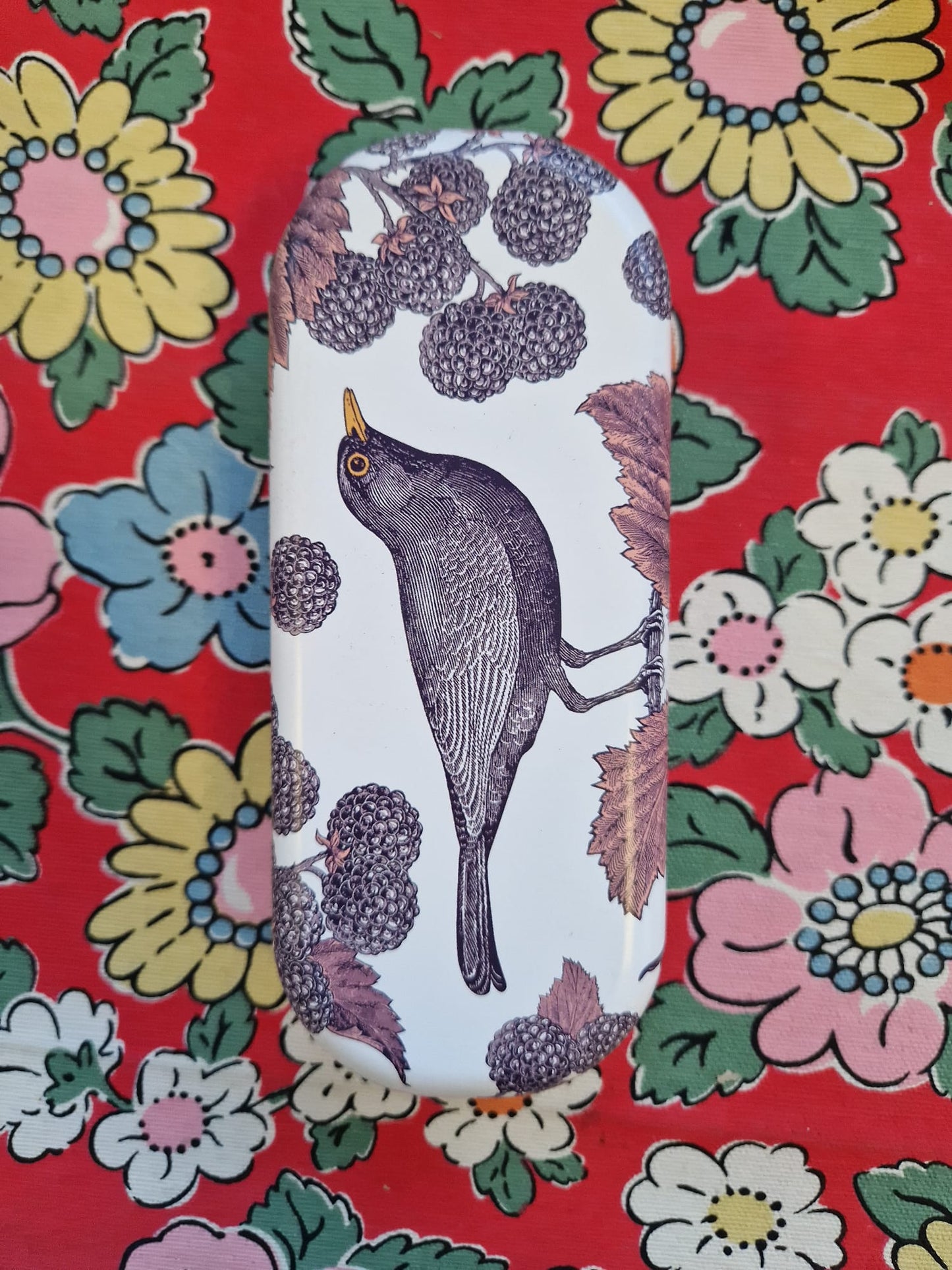 Emma Bridgewater Glasses Cases