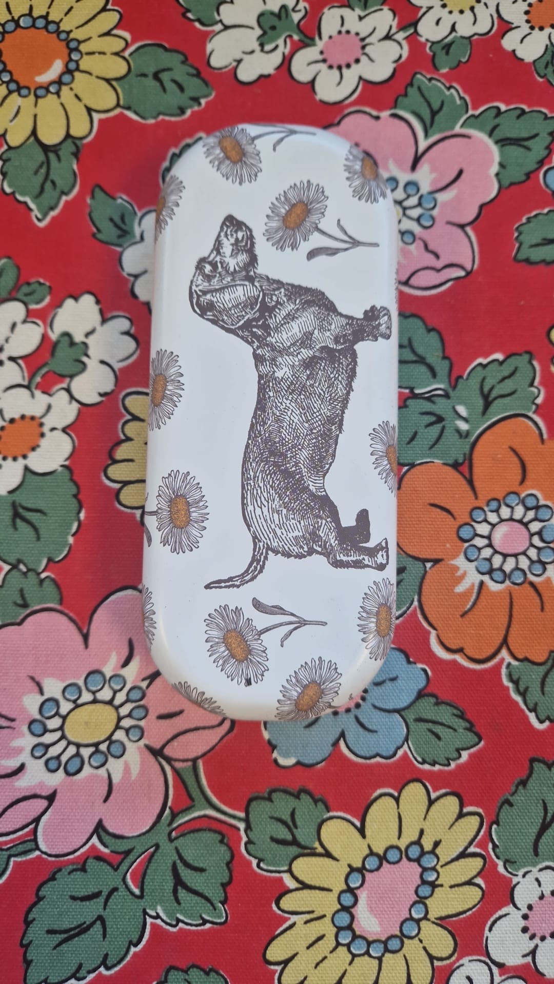 Emma Bridgewater Glasses Cases