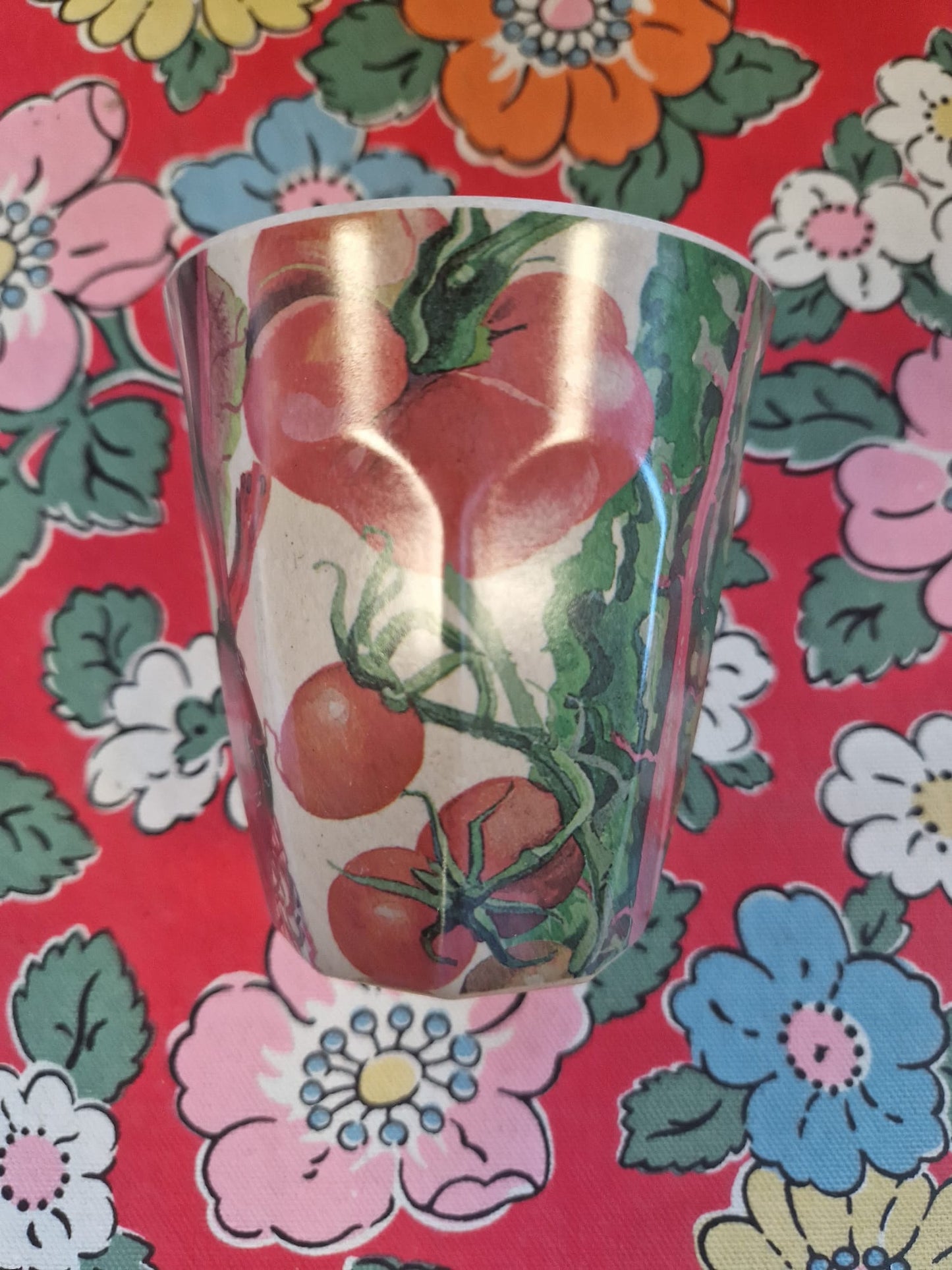 Emma Bridgewater Picnic Cup