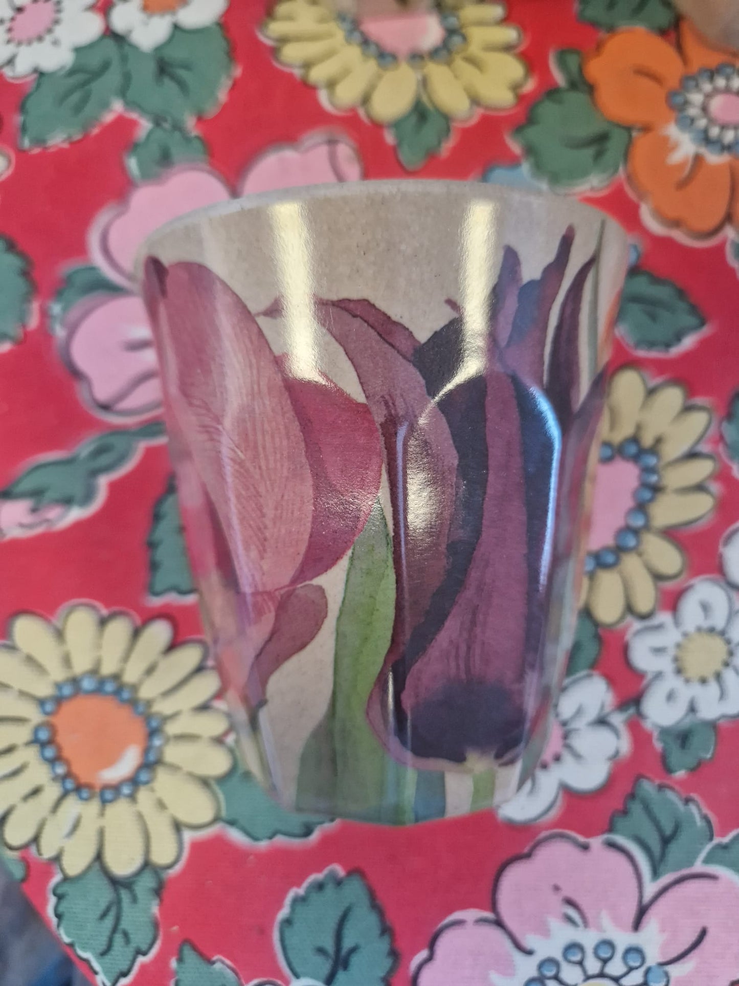 Emma Bridgewater Picnic Cup