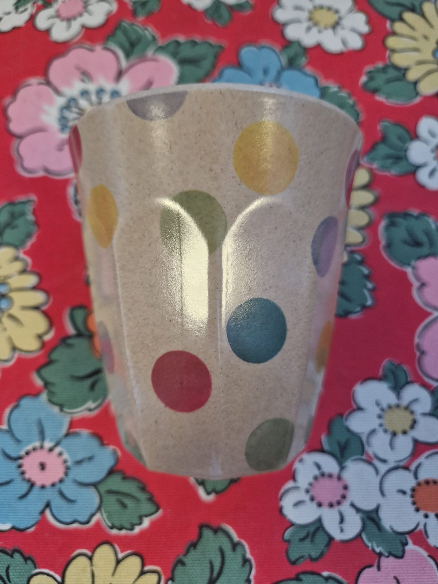 Emma Bridgewater Picnic Cup