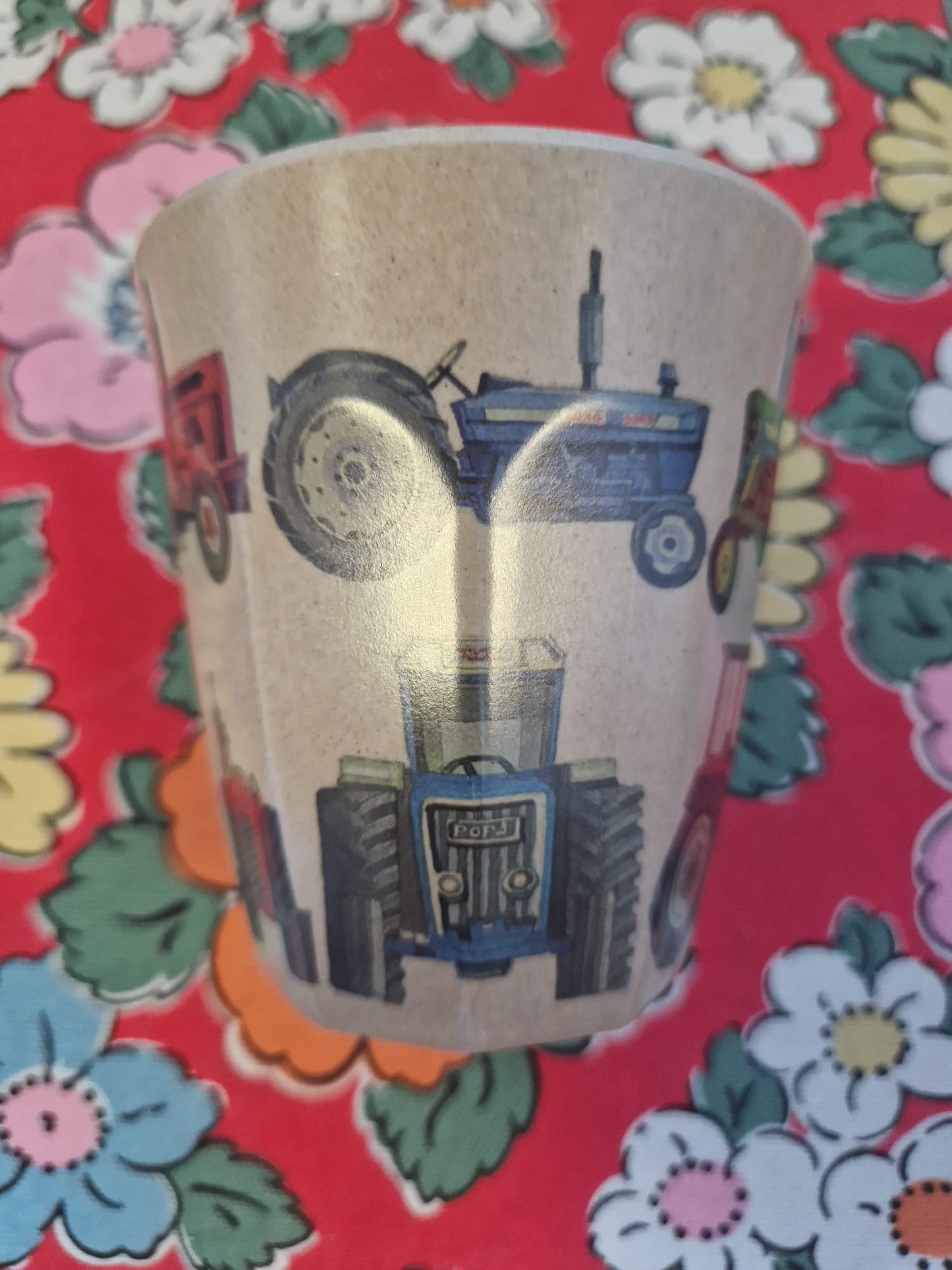 Emma Bridgewater Picnic Cup
