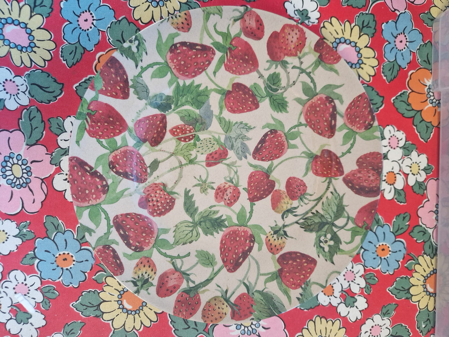 Emma Bridgewater Picnic Plate