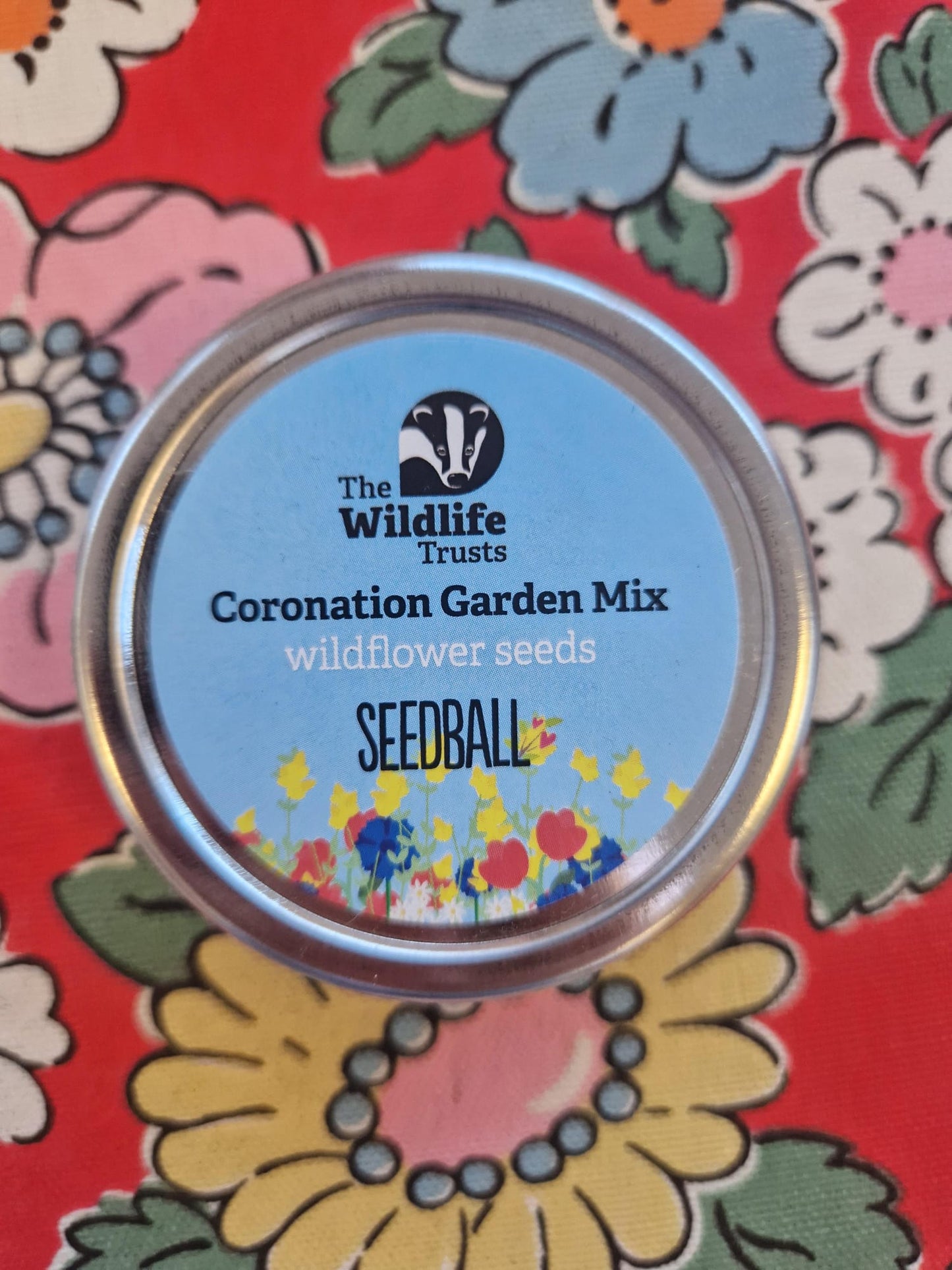SEEDBALL Tins