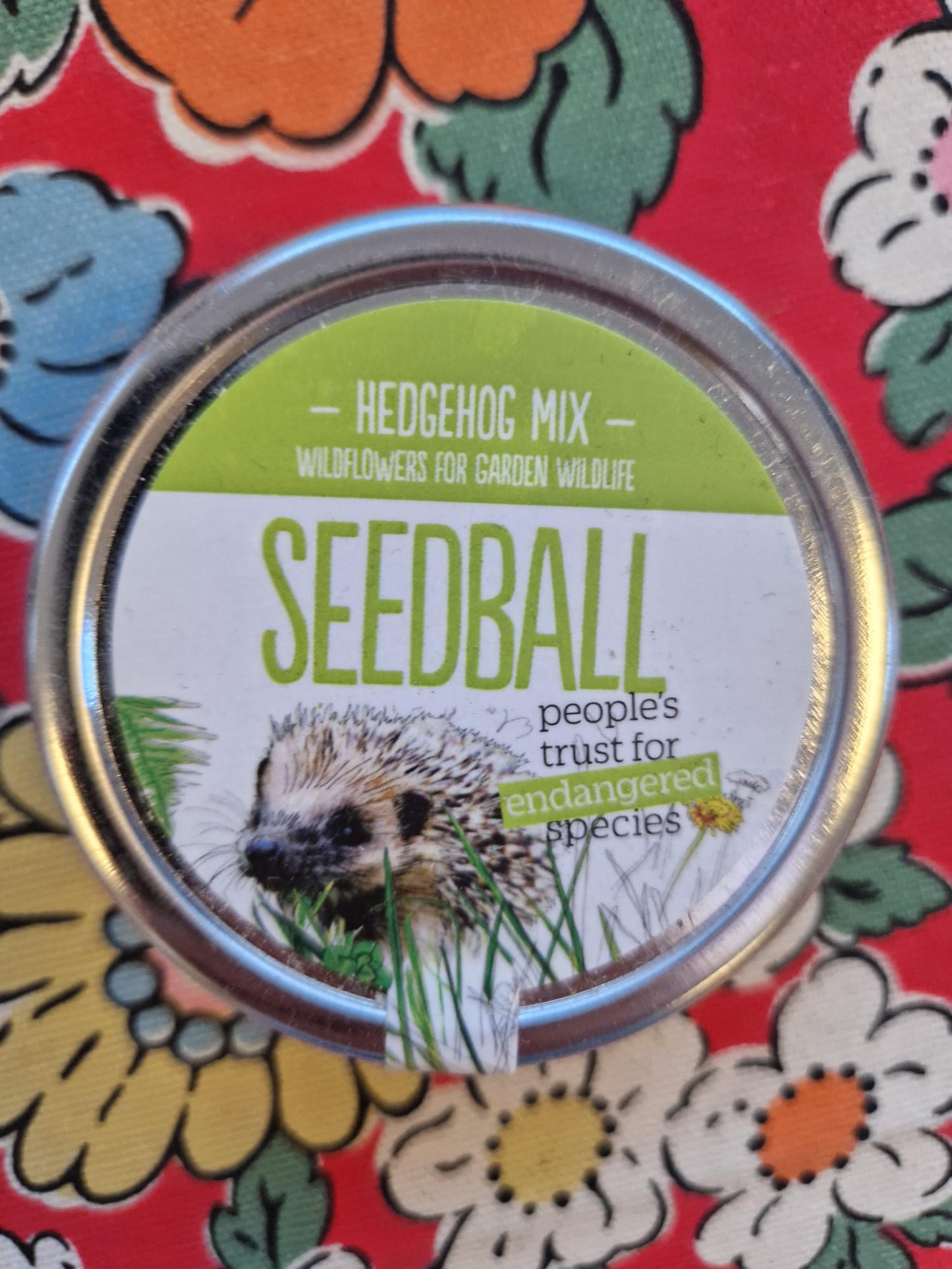 SEEDBALL Tins