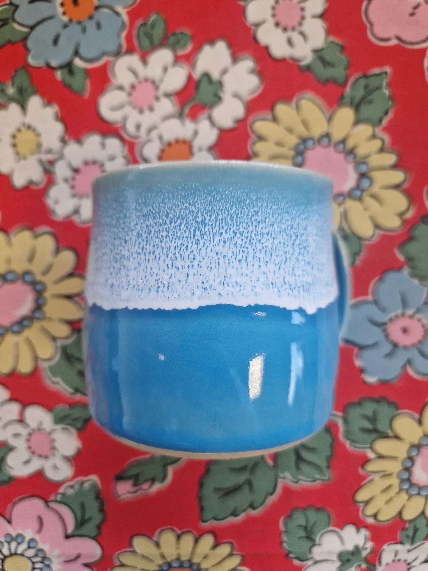 Glosters Muglet
