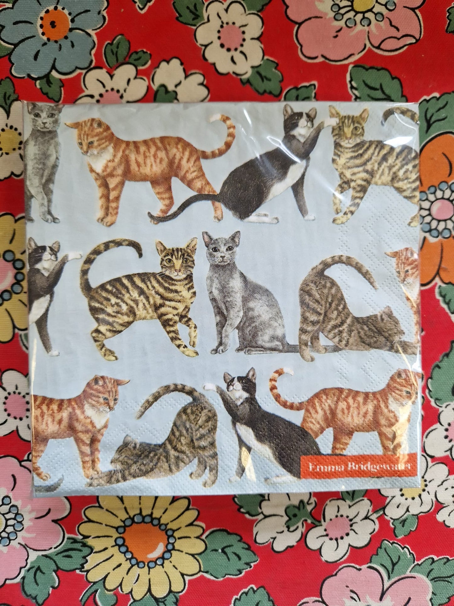 Emma Bridgewater 20x Napkins