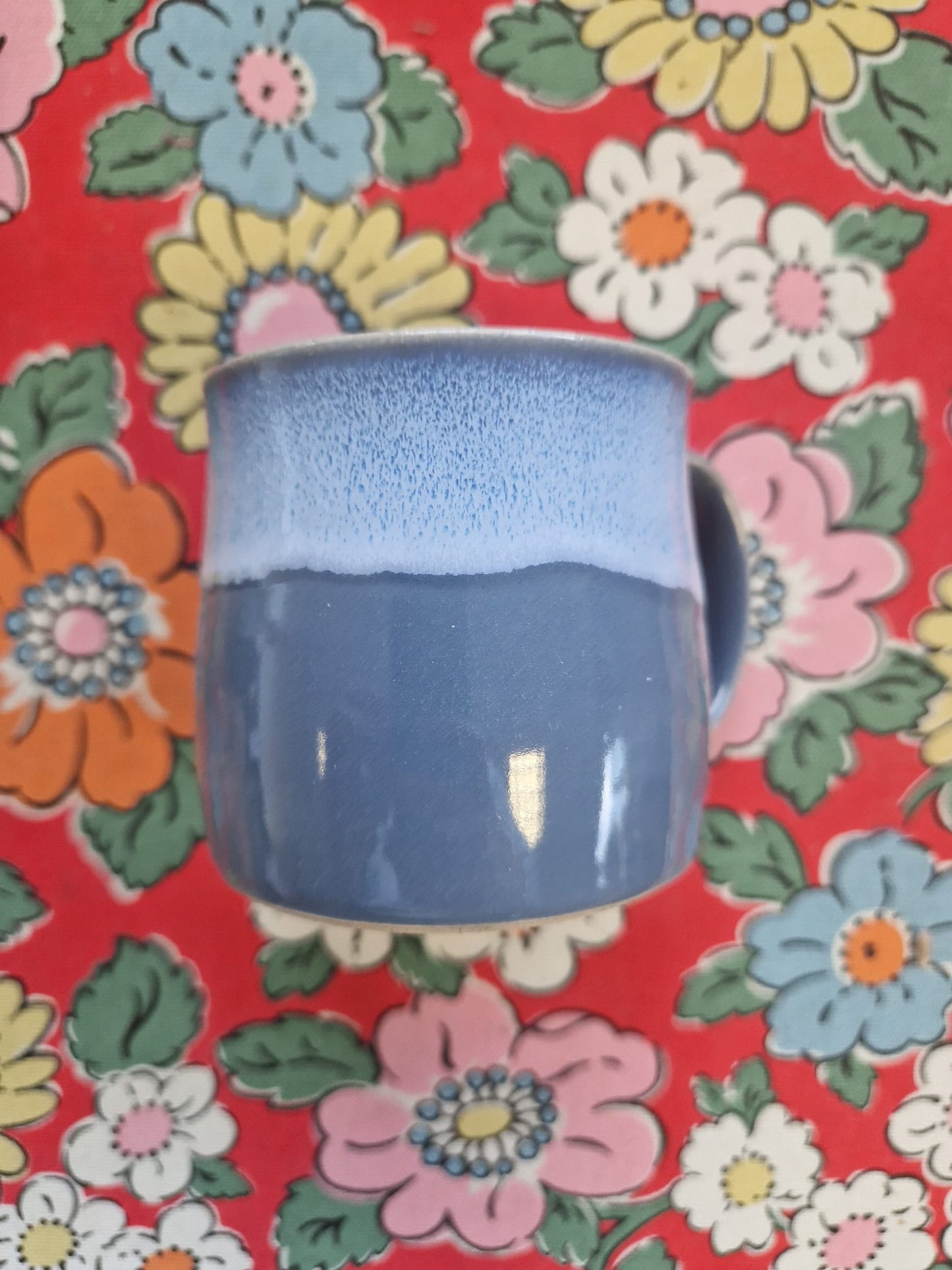 Glosters Muglet