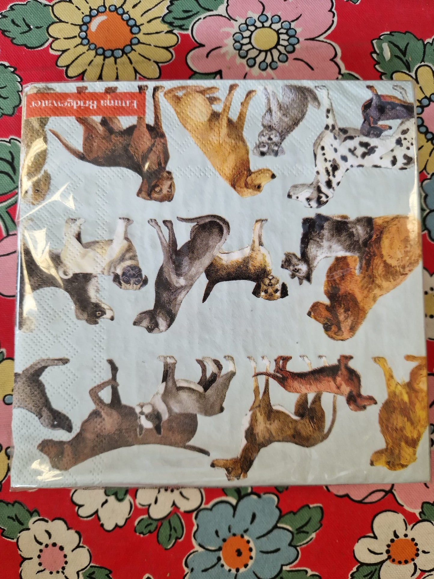 Emma Bridgewater 20x Napkins