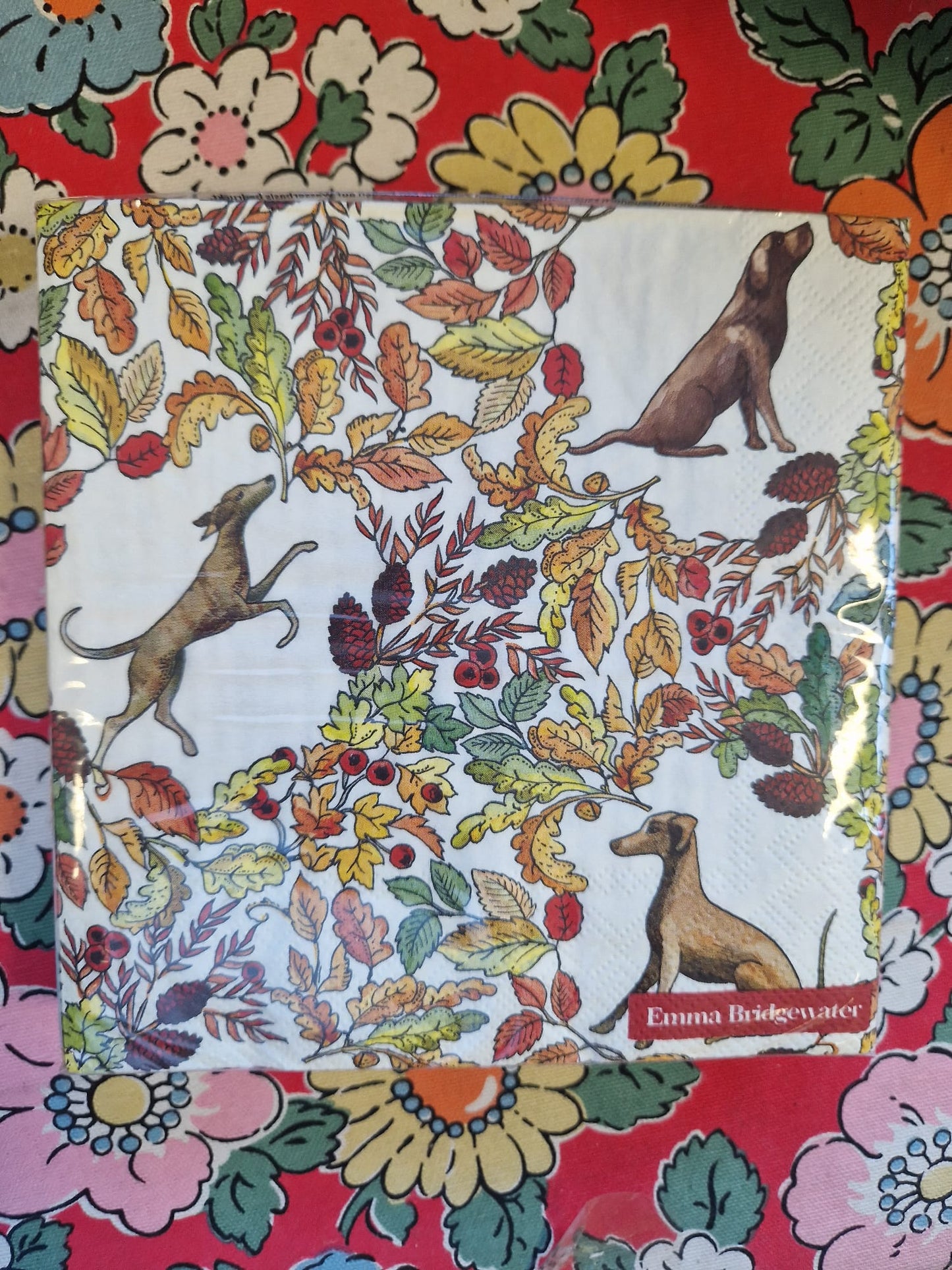 Emma Bridgewater 20x Napkins
