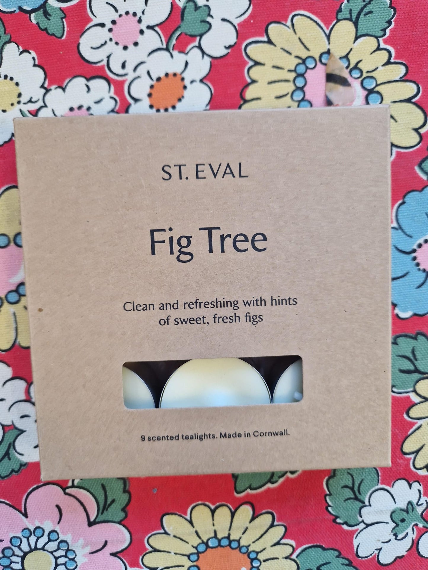 St Eval Pack of 9 Tealights