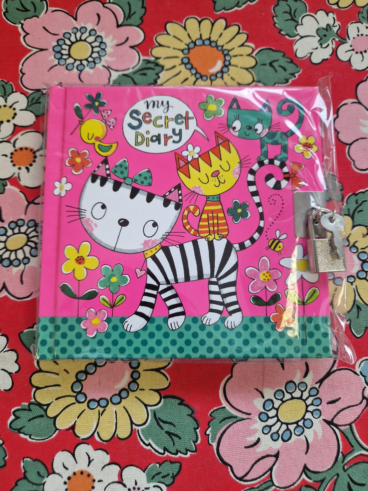 Rachel Ellen Secret Diaries