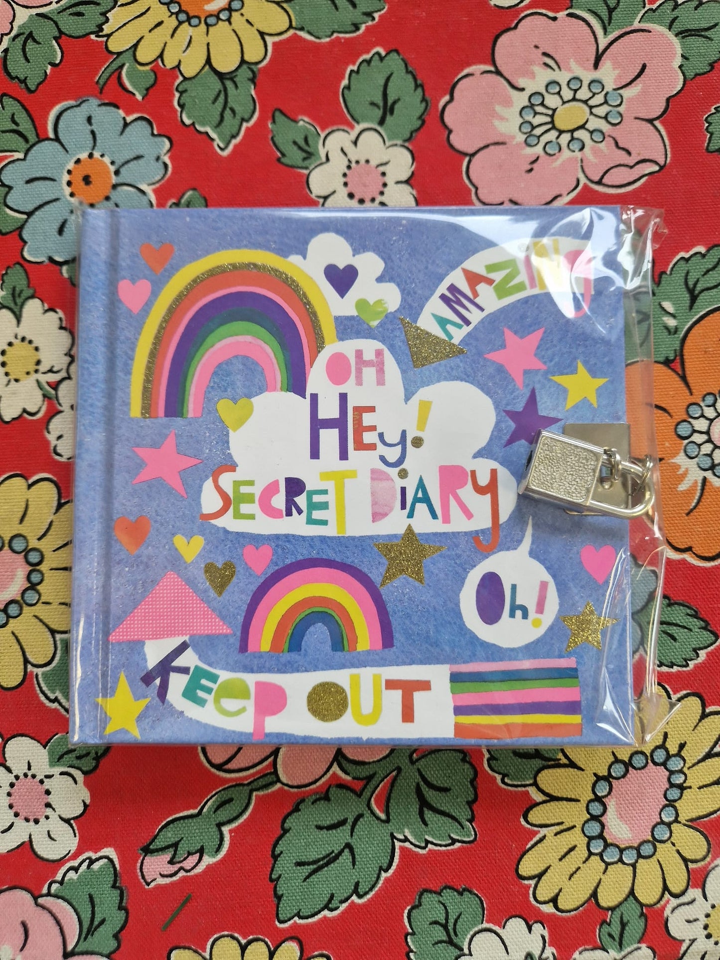 Rachel Ellen Secret Diaries