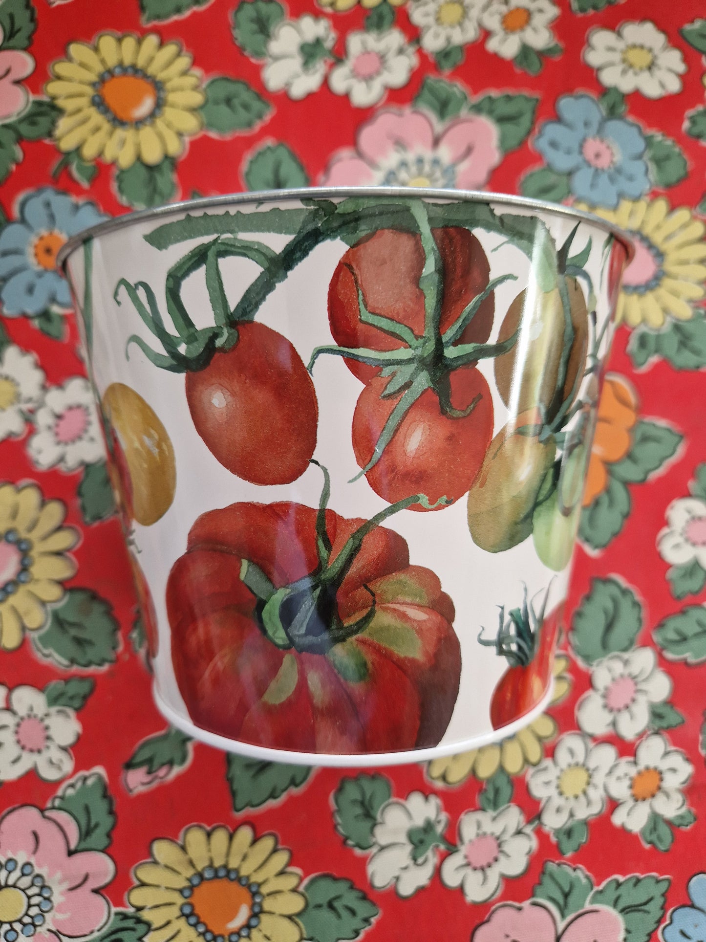Emma Bridgewater Plant Pot
