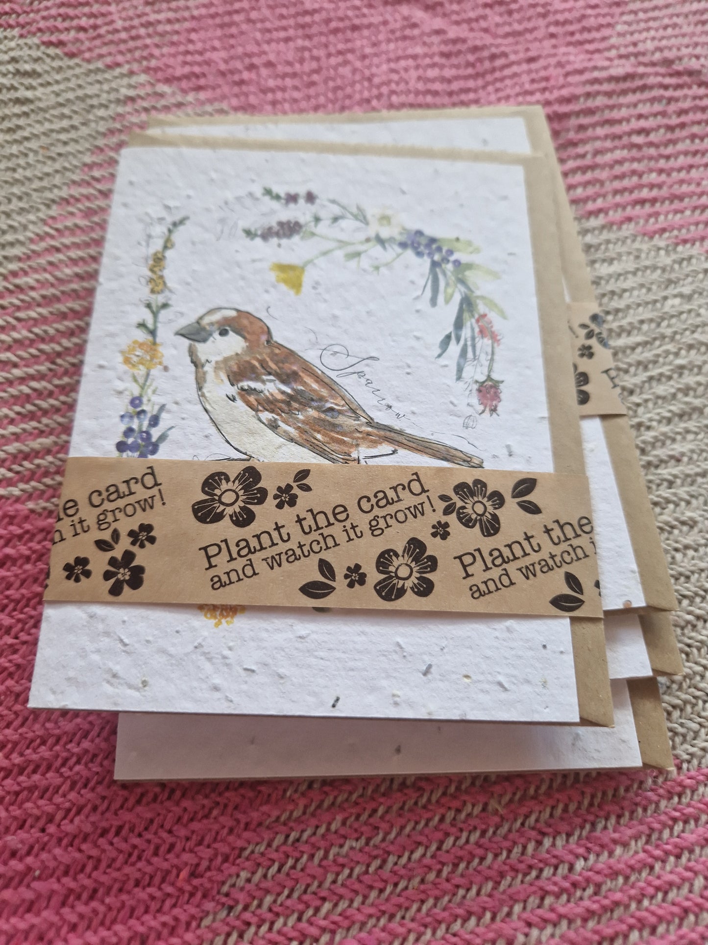 Hannah Marchant Seed Cards