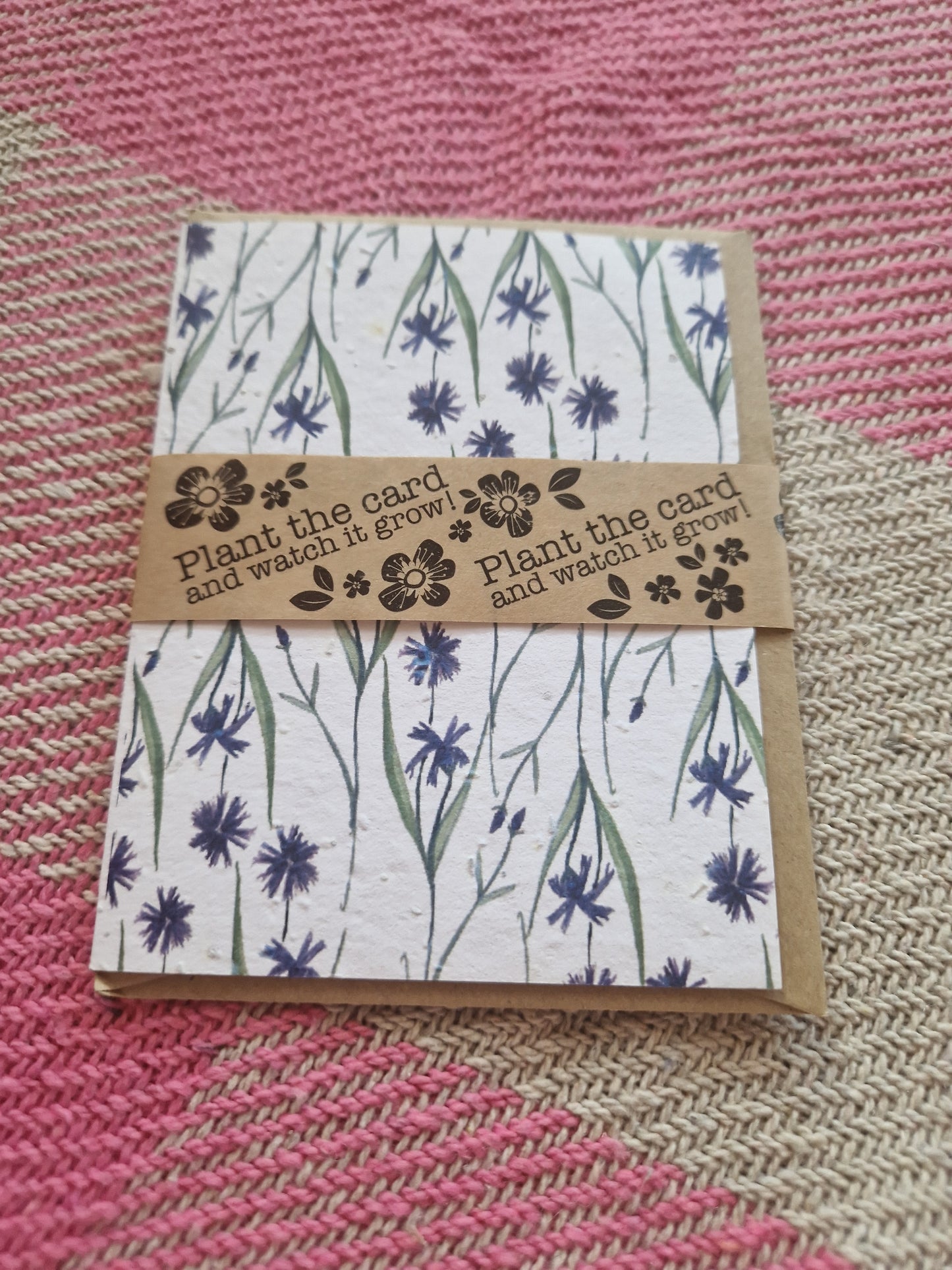 Hannah Marchant Seed Cards