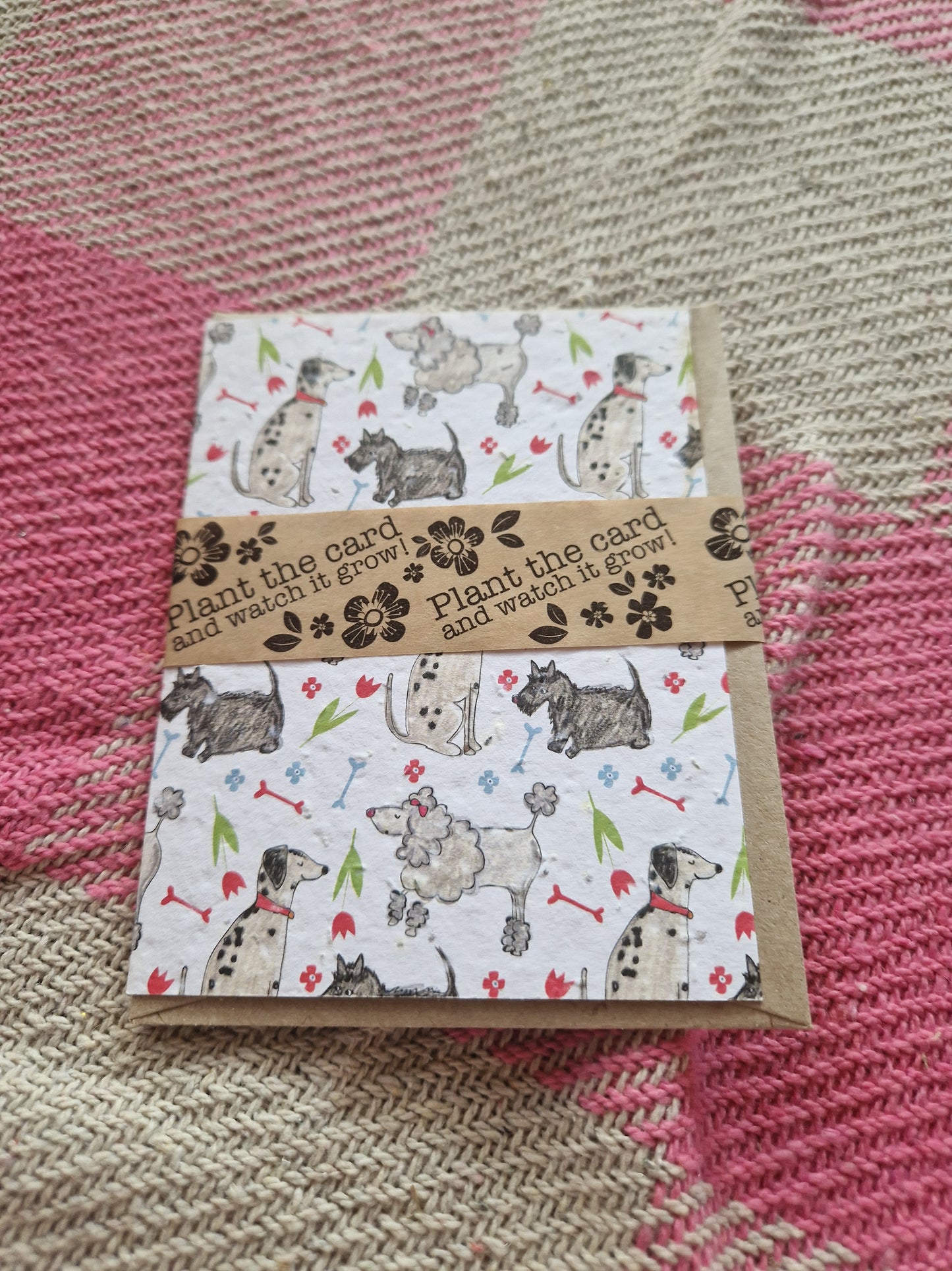 Hannah Marchant Seed Cards