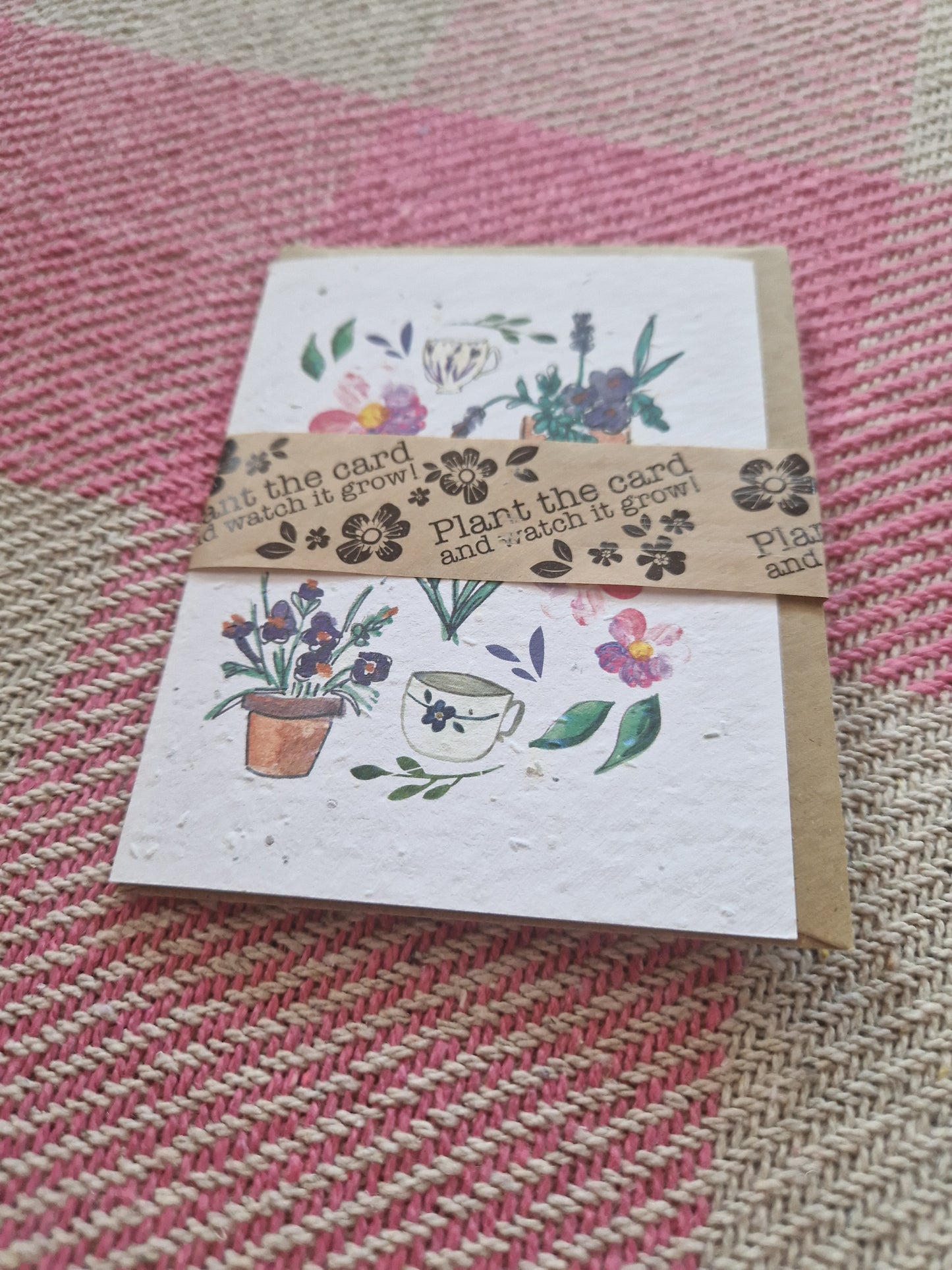 Hannah Marchant Seed Cards