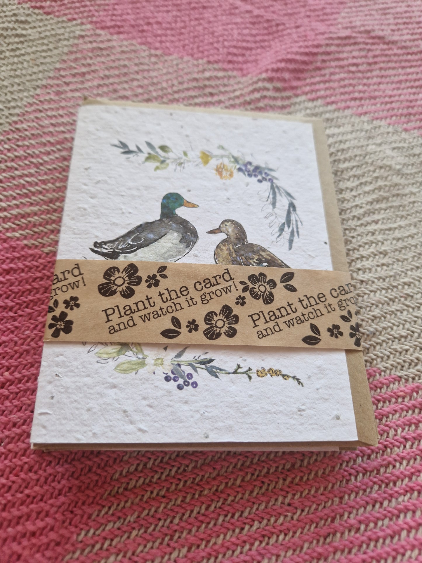 Hannah Marchant Seed Cards