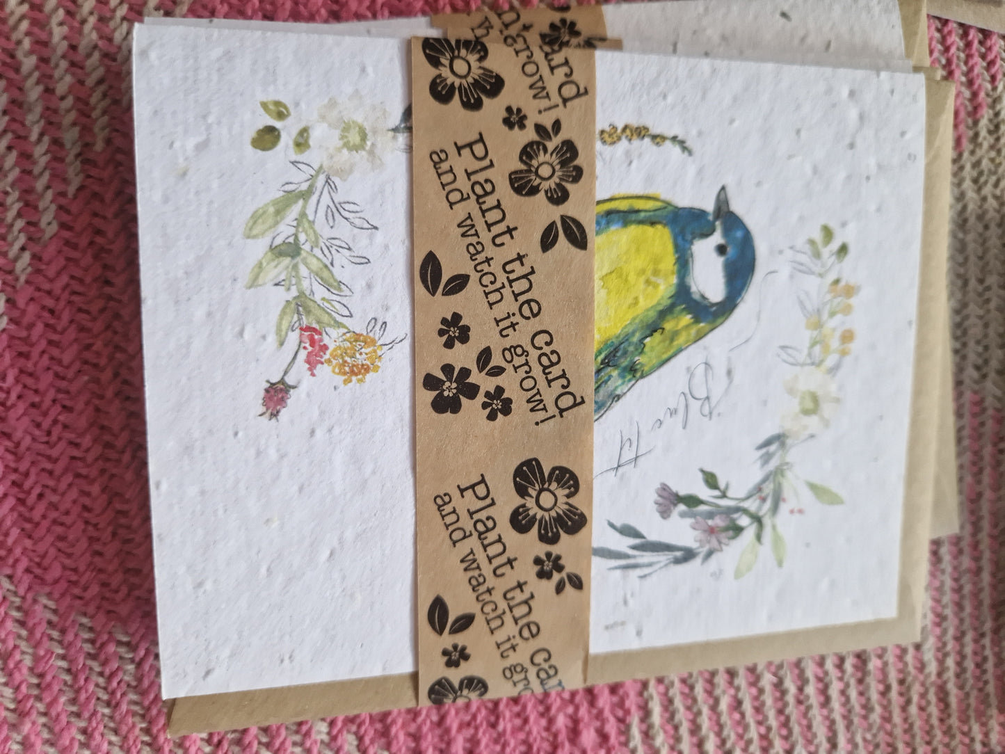 Hannah Marchant Seed Cards