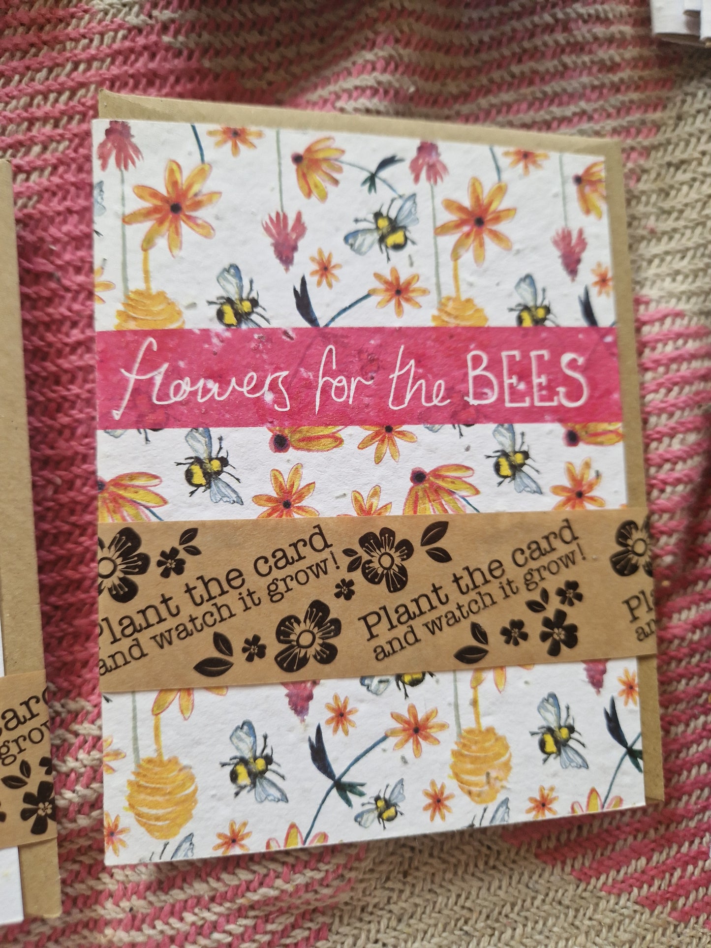 Hannah Marchant Seed Cards