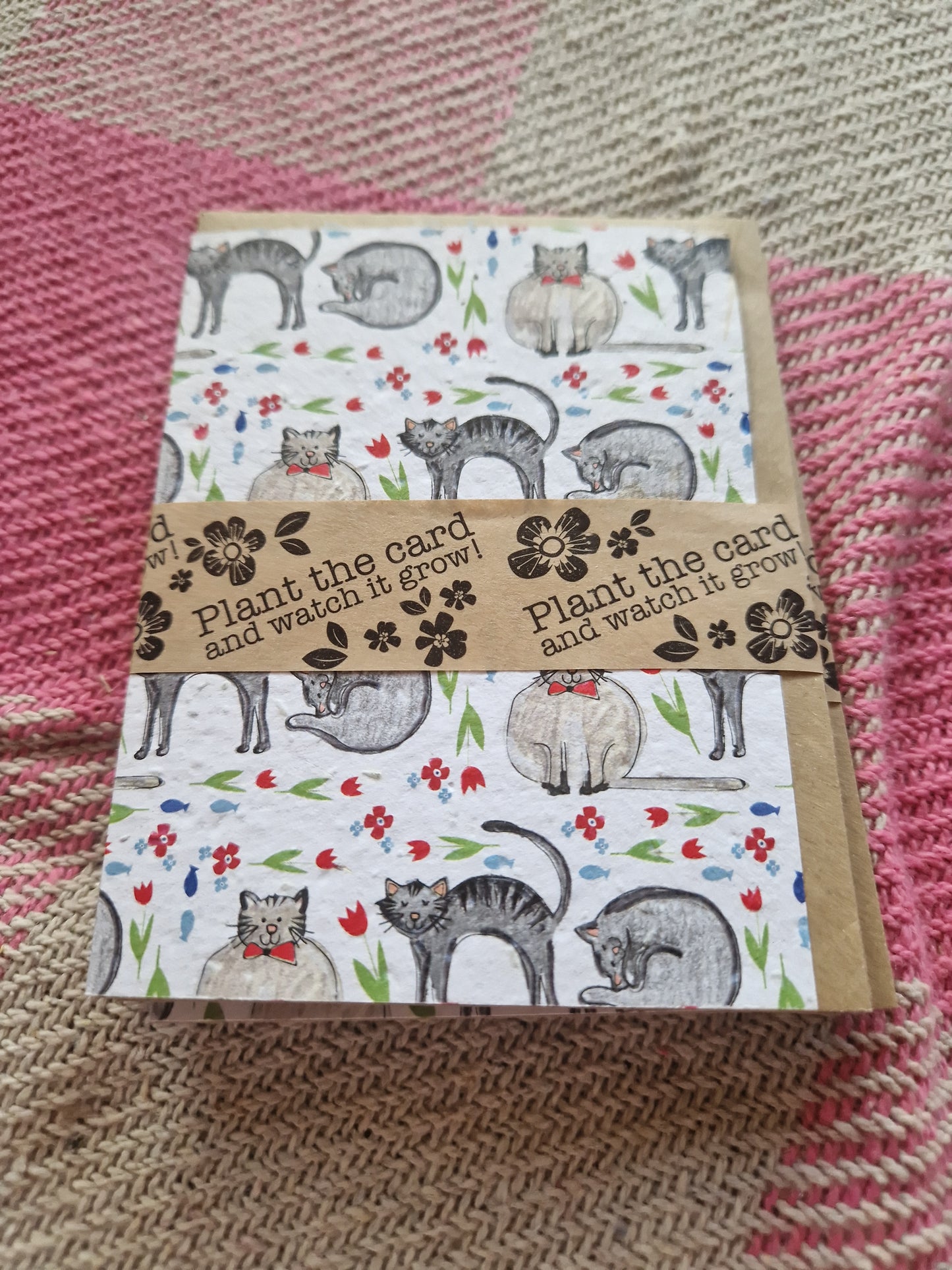 Hannah Marchant Seed Cards