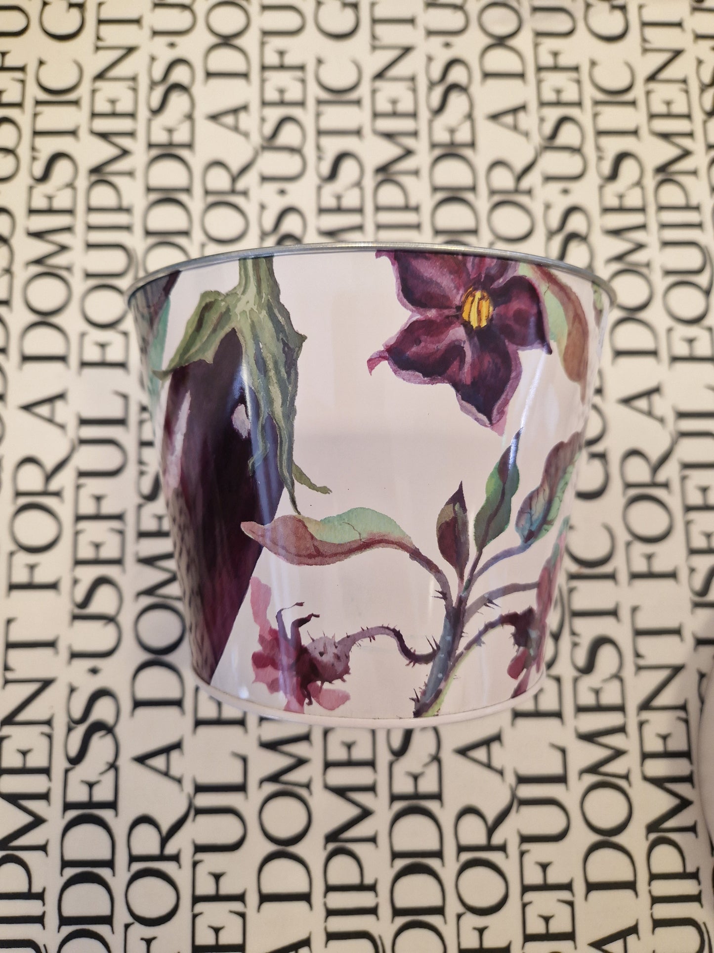 Emma Bridgewater Plant Pot
