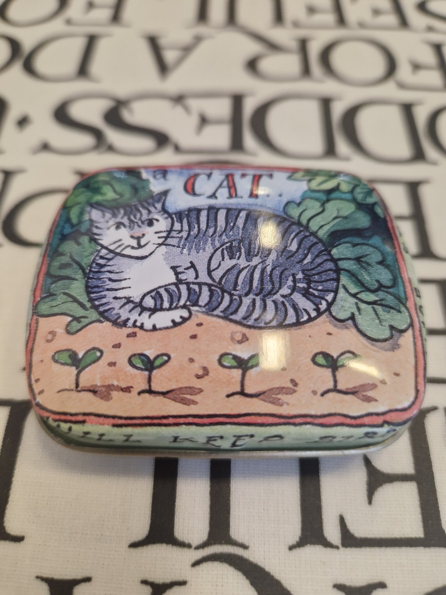 Happy Jackson Tiny Tin