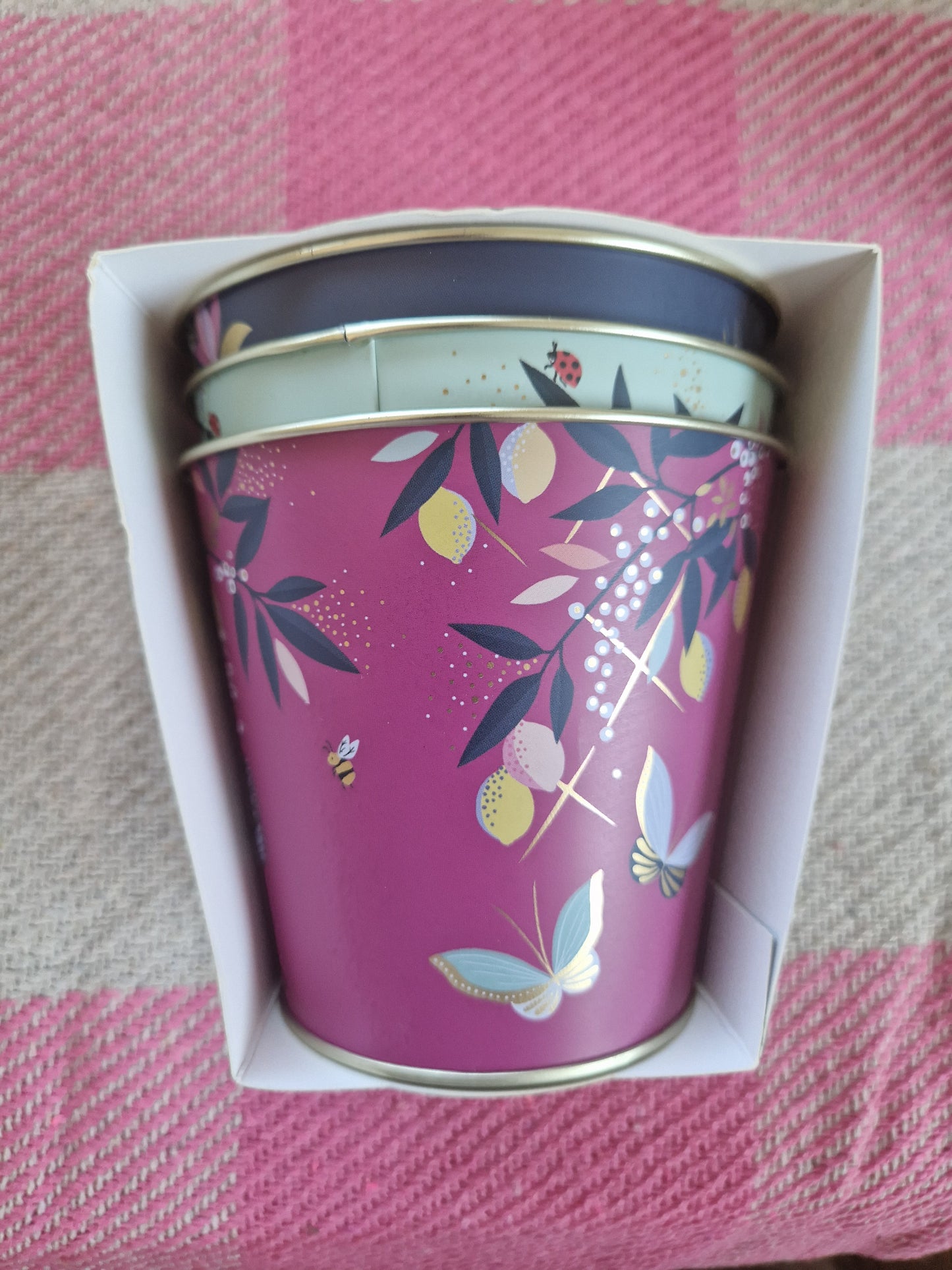 Sara Miller Plant Pots (Set of 3)