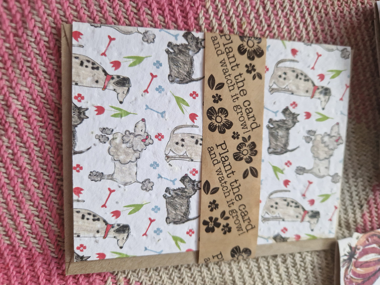 Hannah Marchant Seed Cards