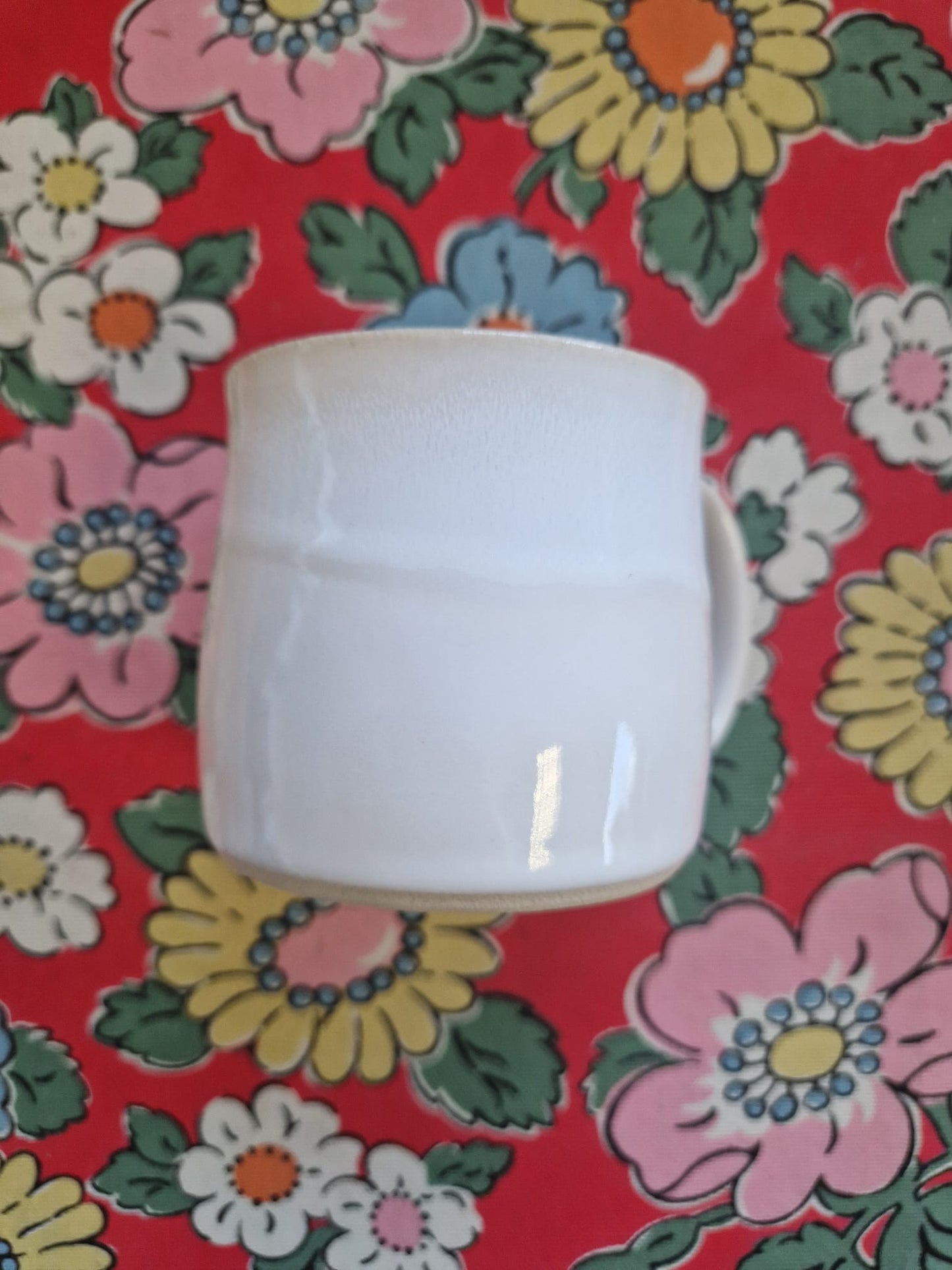 Glosters Muglet