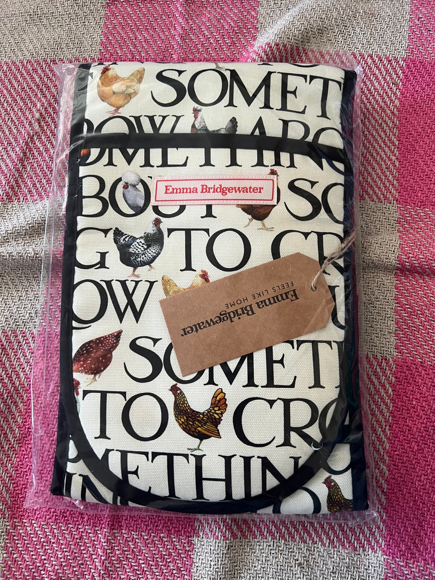 Emma Bridgewater Oven Gloves