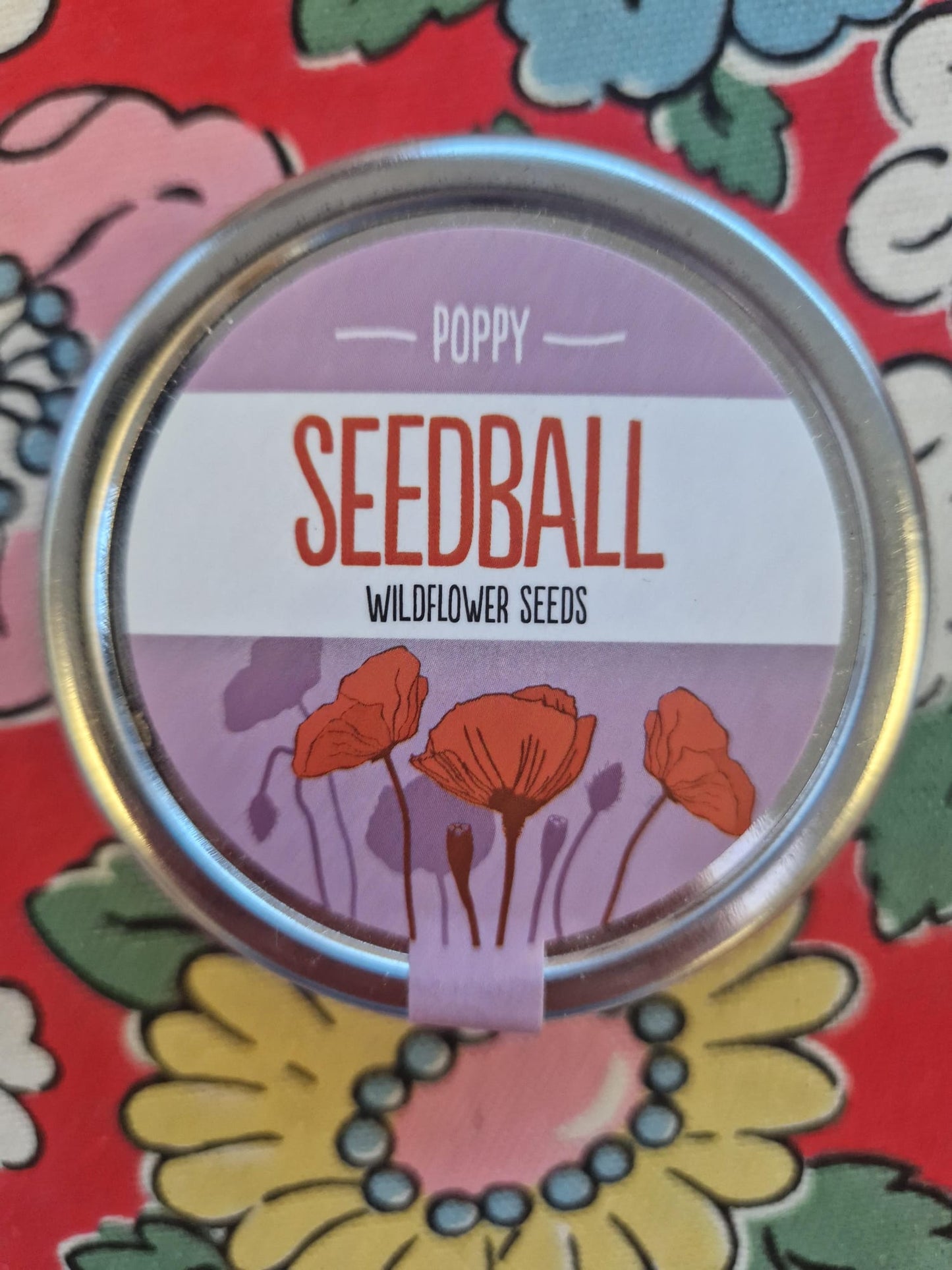 SEEDBALL Tins