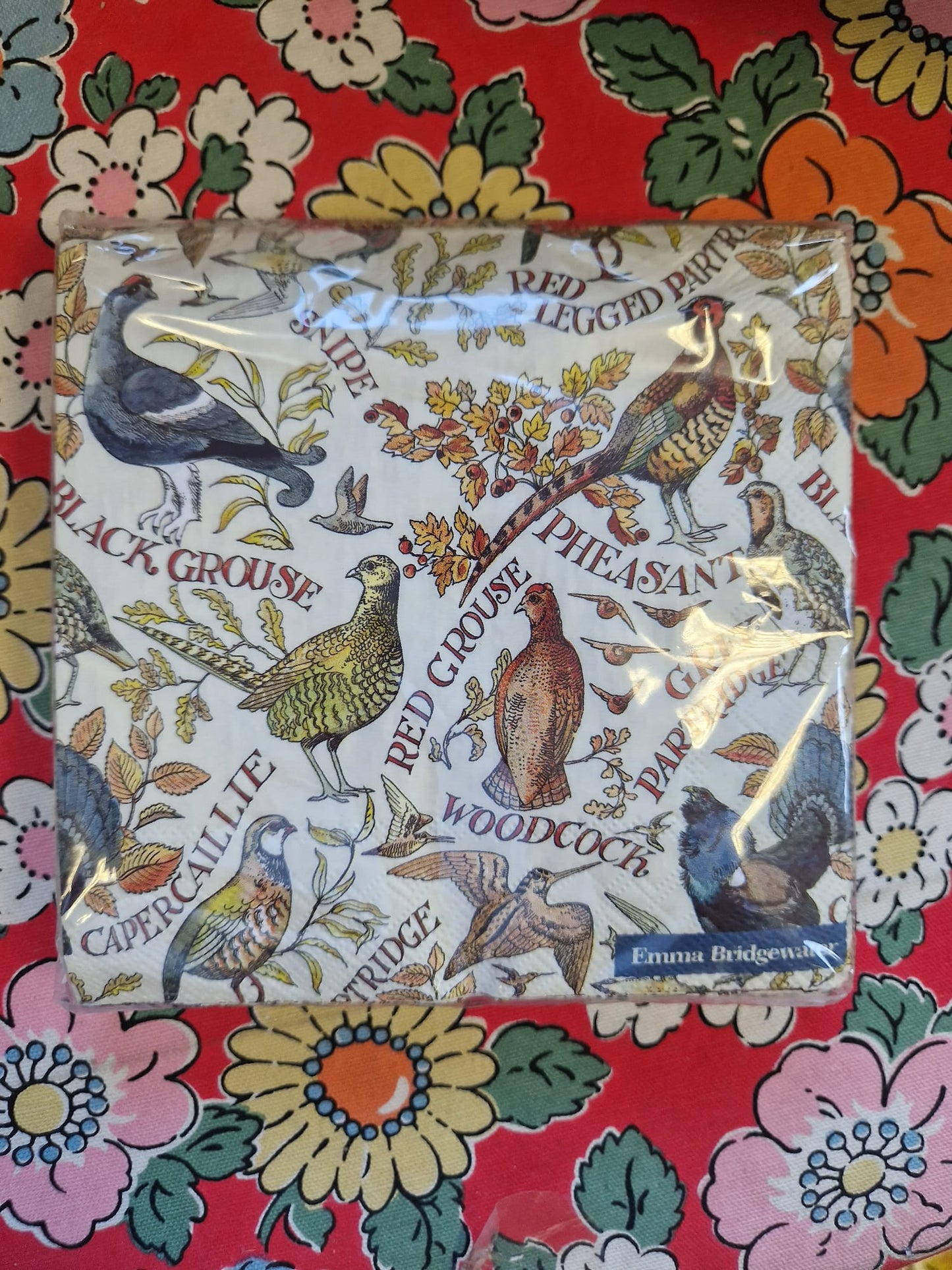 Emma Bridgewater 20x Napkins