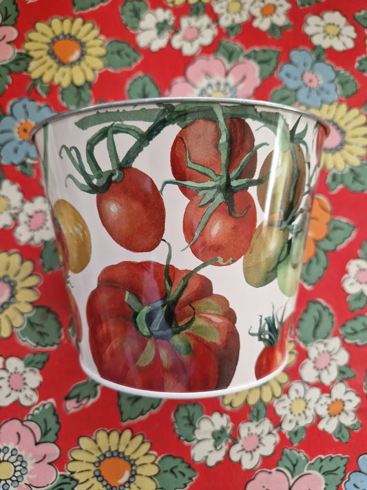 Emma Bridgewater Plant Pot