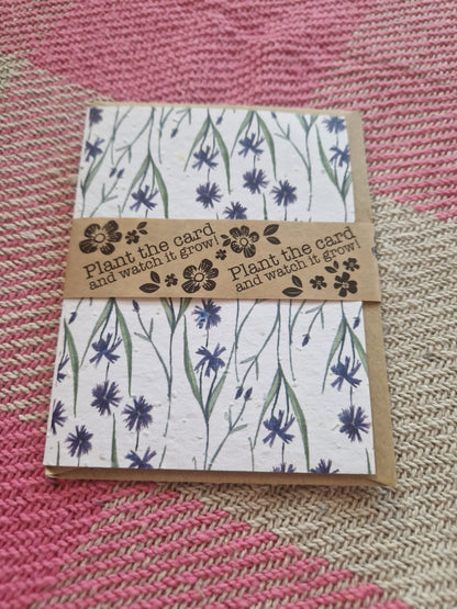 Hannah Marchant Seed Cards