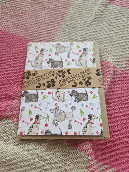 Hannah Marchant Seed Cards