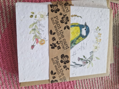 Hannah Marchant Seed Cards