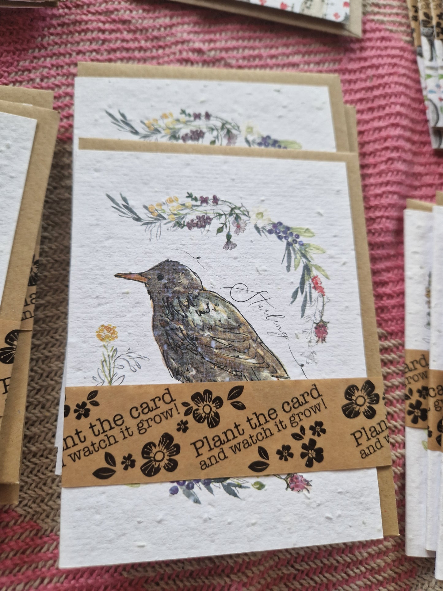 Hannah Marchant Seed Cards