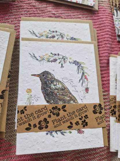 Hannah Marchant Seed Cards