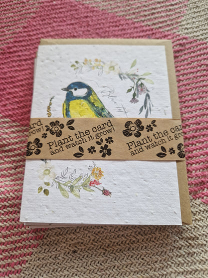 Hannah Marchant Seed Cards
