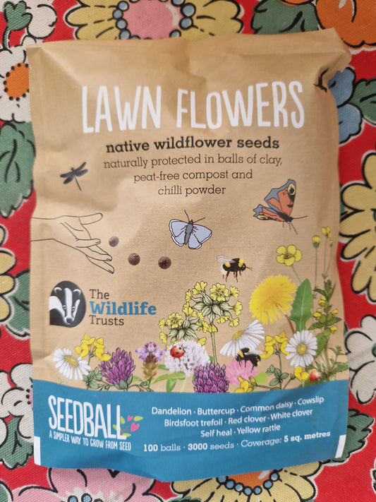 SEEDBALL Pouch