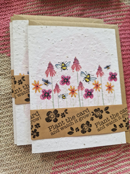 Hannah Marchant Seed Cards