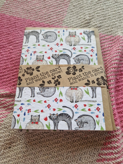 Hannah Marchant Seed Cards