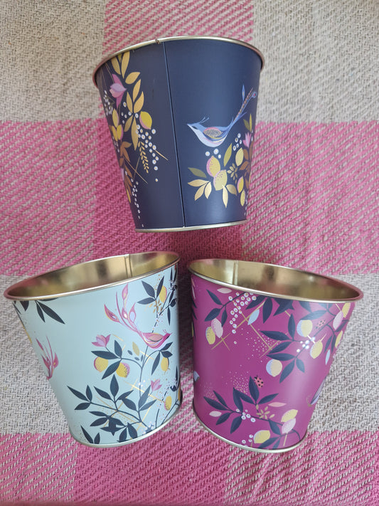 Sara Miller Plant Pots (Set of 3)