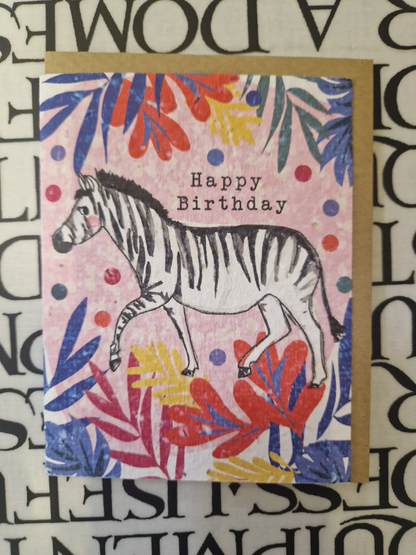 Hannah Marchant Seed Cards